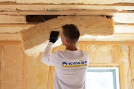 Professional Insulation Services in Ivanhoe, TX